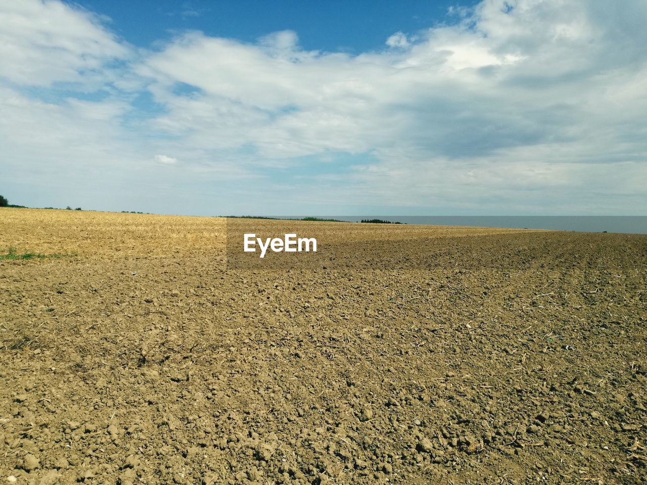 FIELD AGAINST SKY