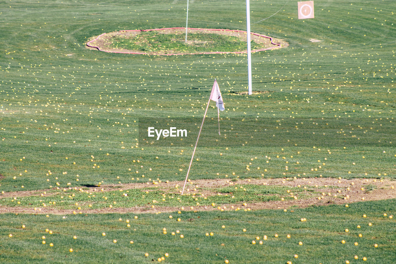 HIGH ANGLE VIEW OF GOLF FLAG ON FIELD