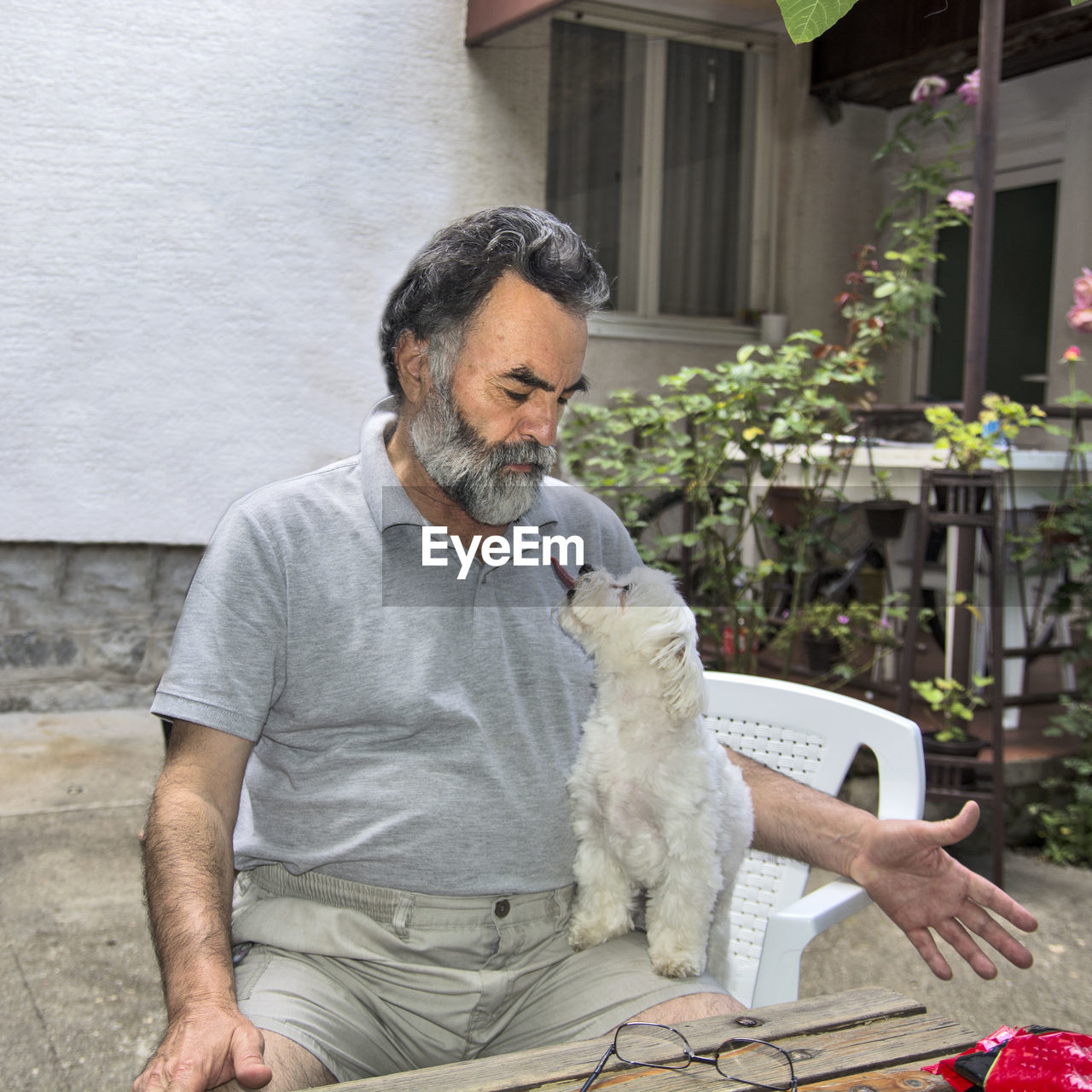 A man is playing with his little maltese dog.