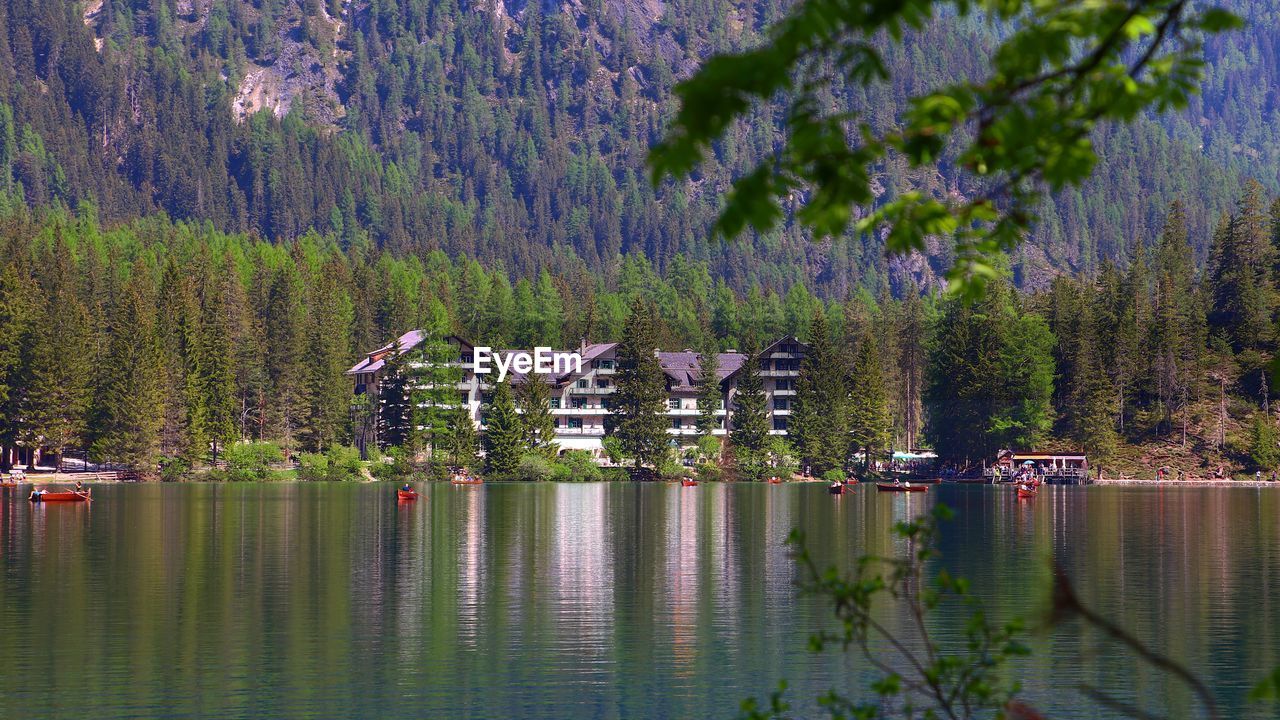 Scenic view of lake by trees and plants