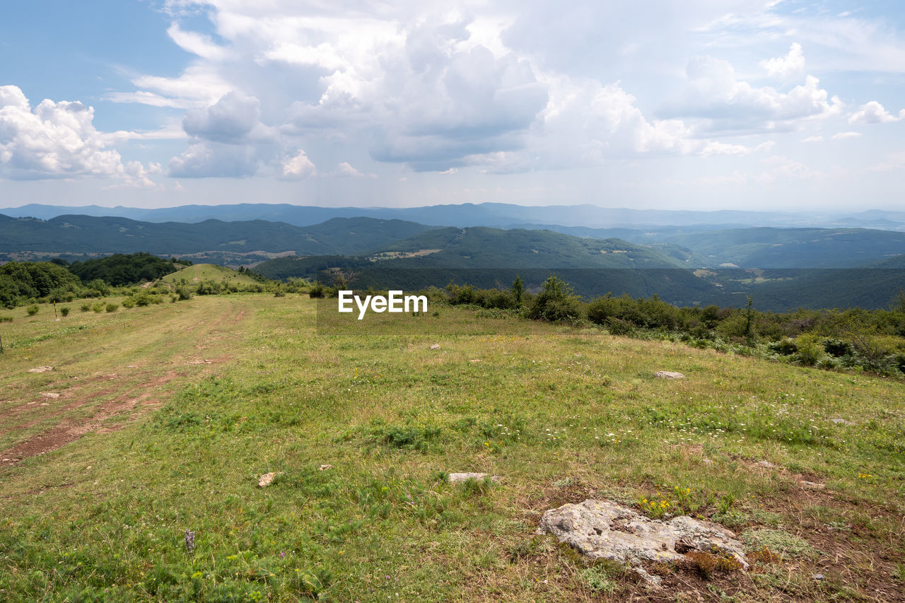 SCENIC VIEW OF GRASSY FIELD AGAINST SKY