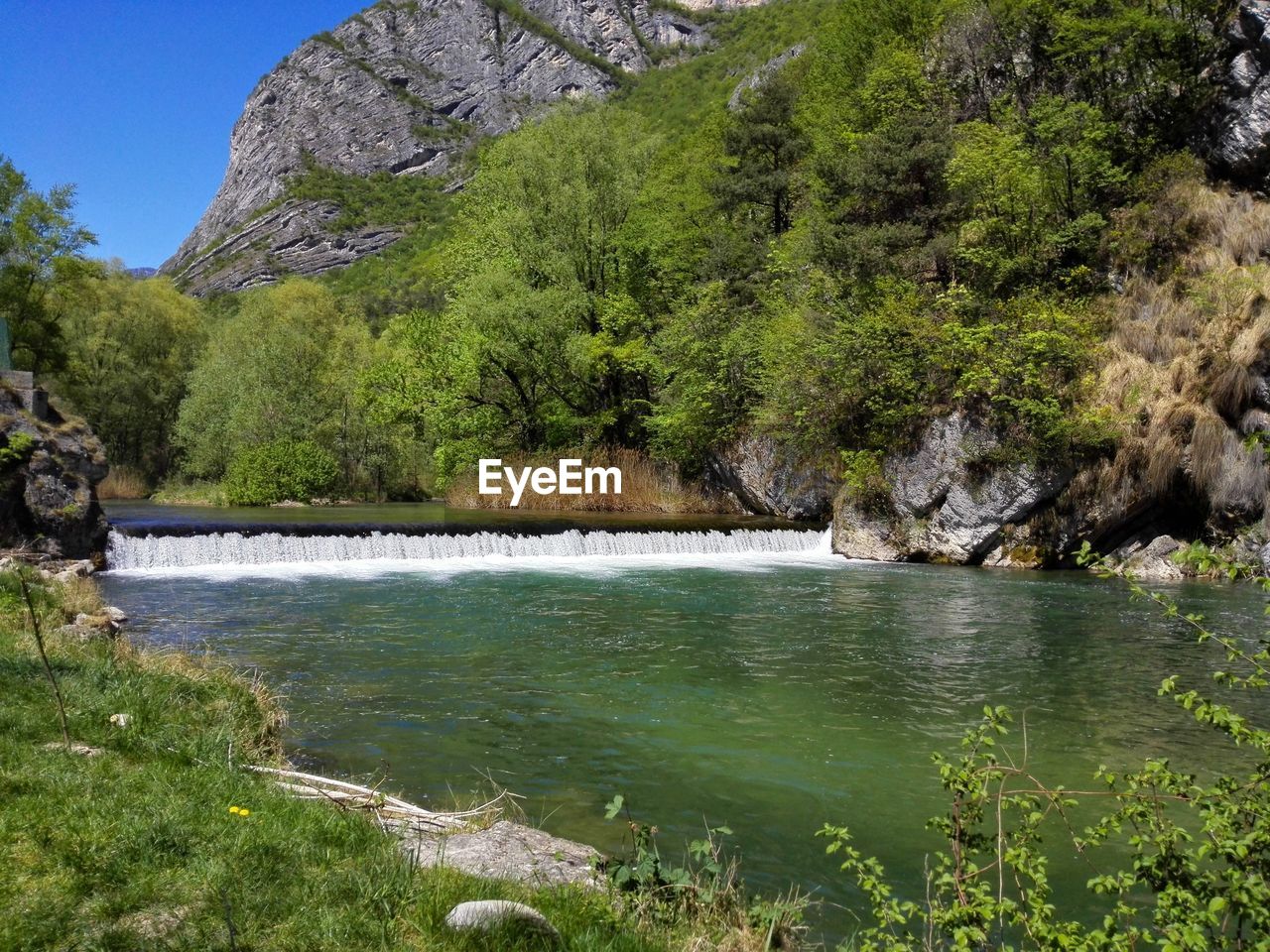 Scenic view of river amidst trees in forest