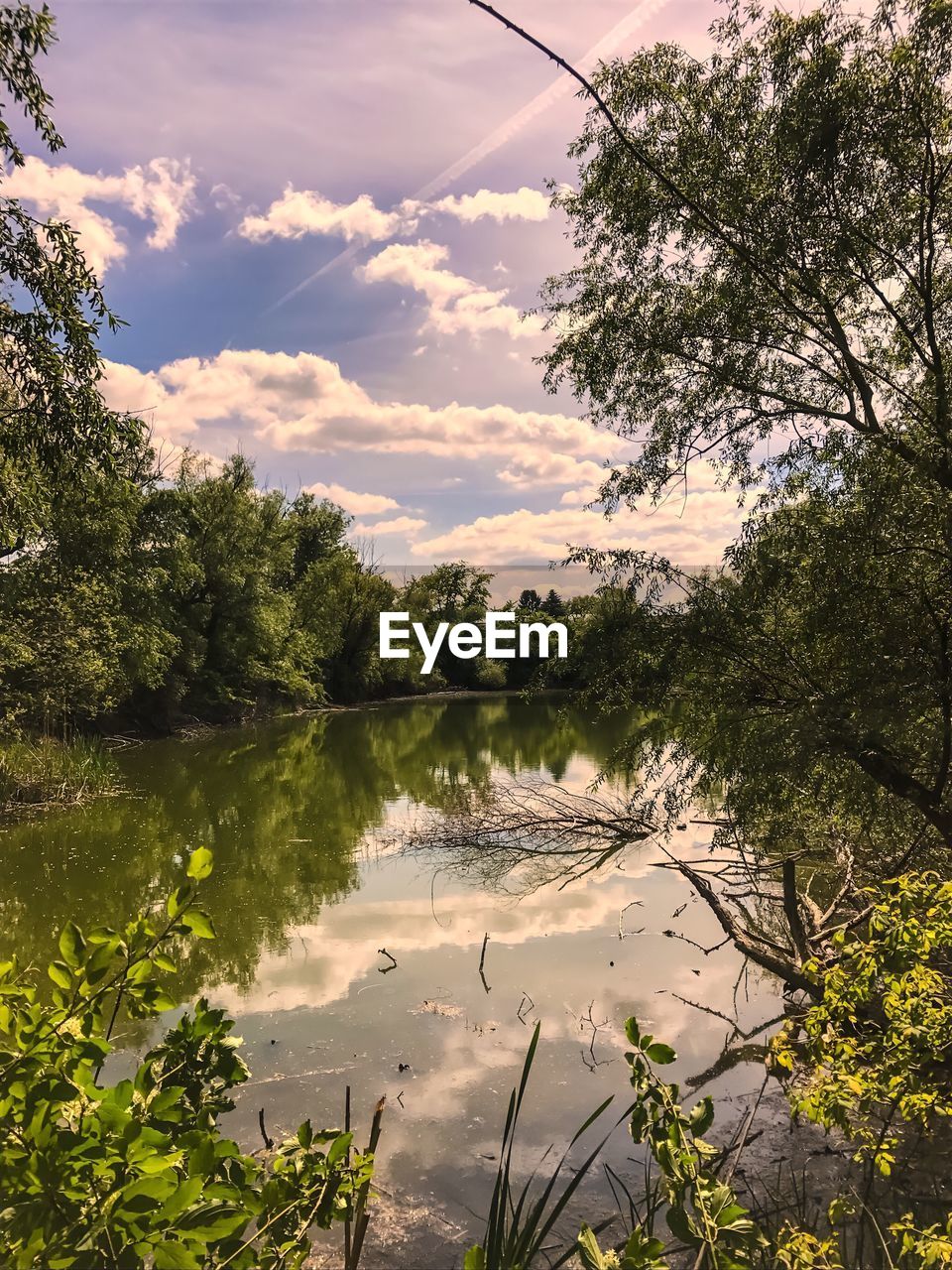 SCENIC VIEW OF LAKE AND TREES AGAINST SKY