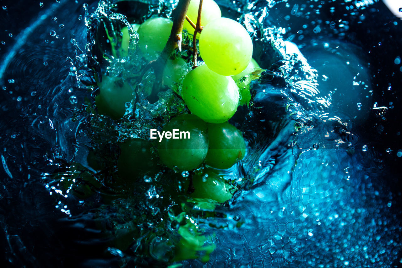 CLOSE-UP OF FRUITS IN WATER IN CONTAINER