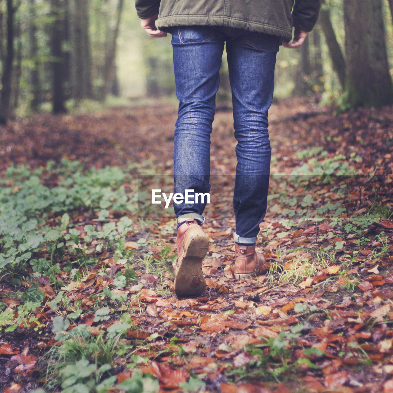 Low section of man walking in forest