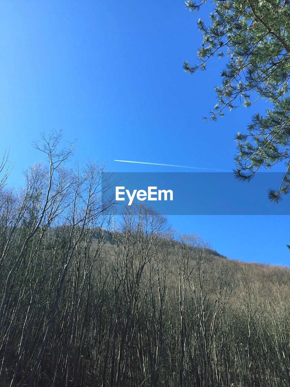 LOW ANGLE VIEW OF VAPOR TRAIL IN SKY