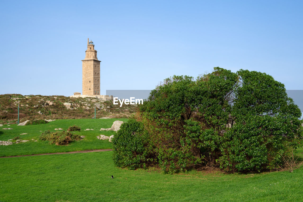 VIEW OF LIGHTHOUSE AND TREES AGAINST SKY