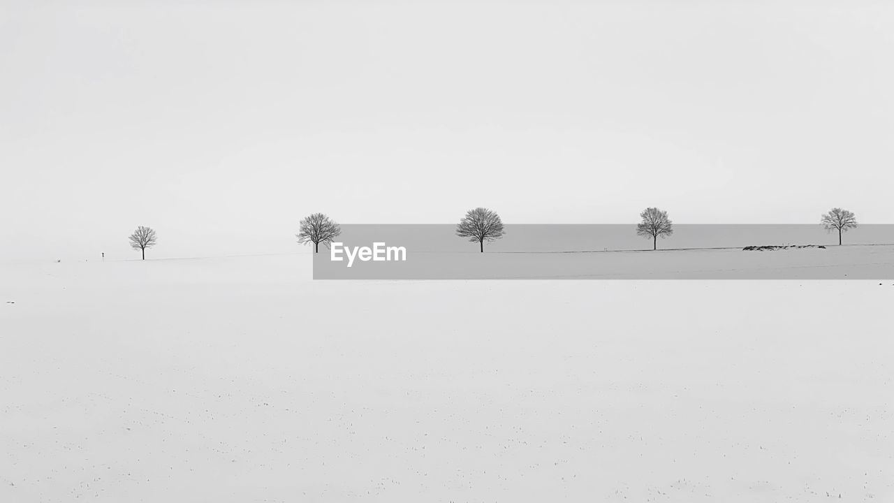 Scenic view of trees in landscape with snow