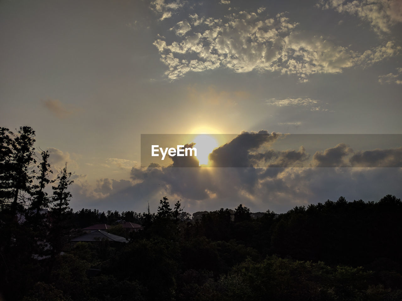 SCENIC VIEW OF SILHOUETTE FOREST AGAINST SKY AT SUNSET