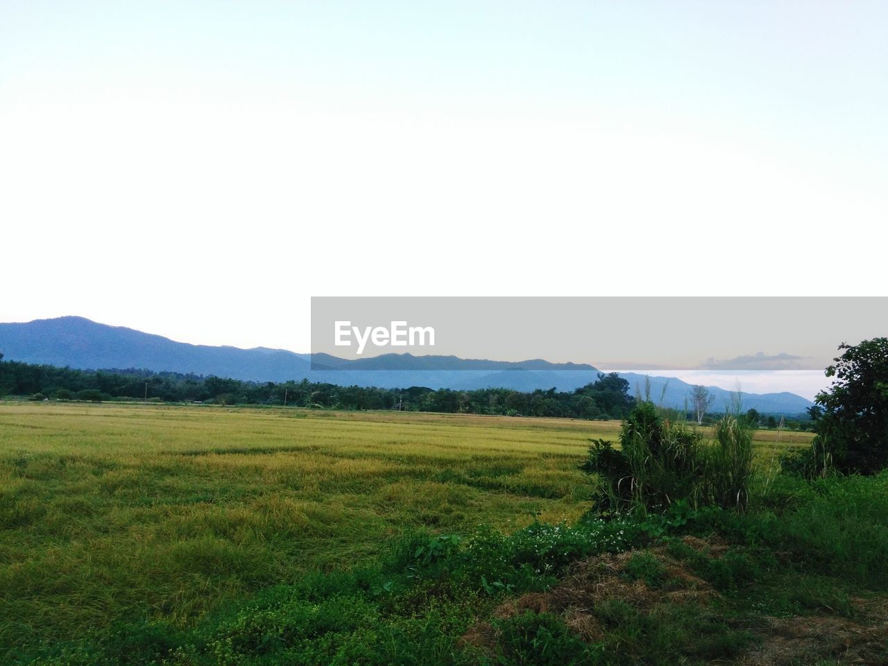 VIEW OF RURAL LANDSCAPE