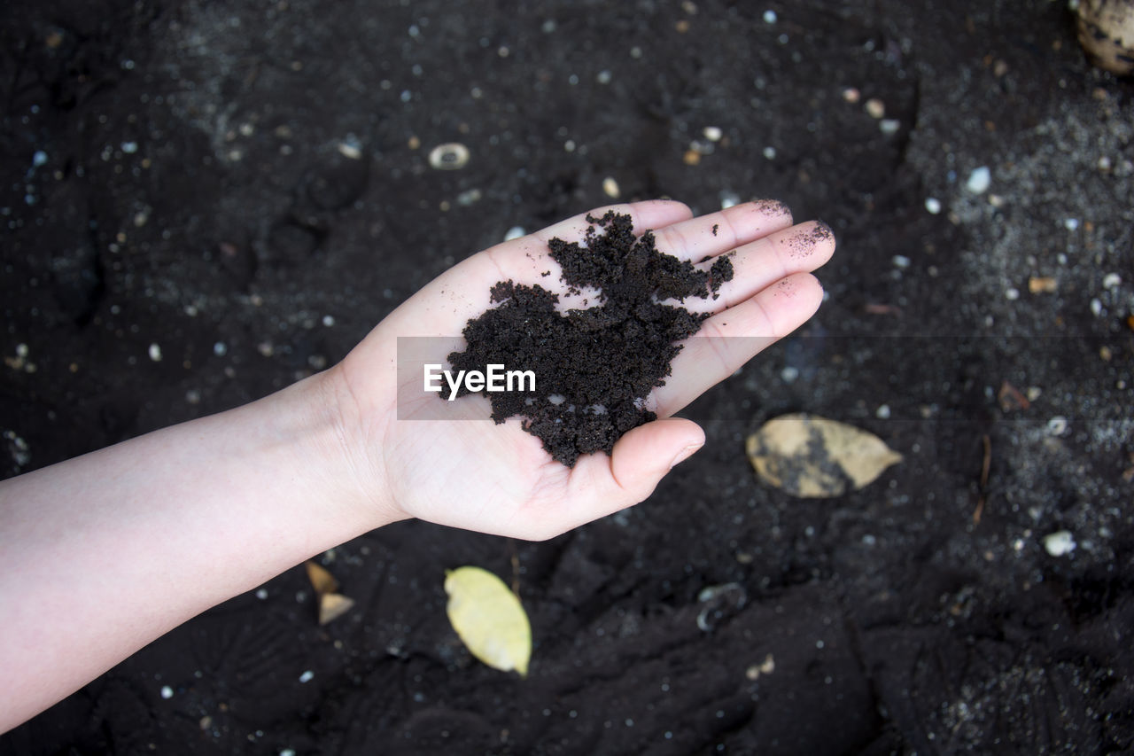 High angle view of person hand holding mud