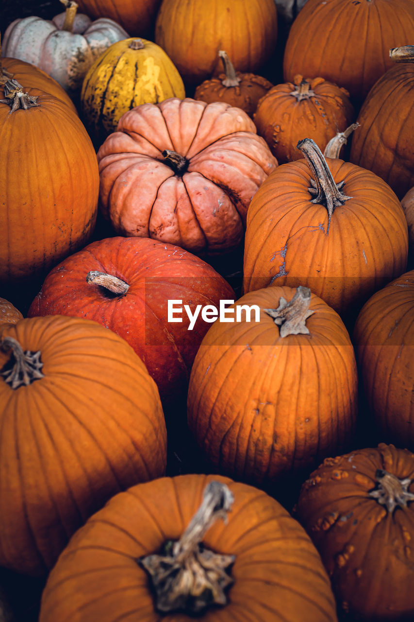 High angle view of pumpkins in market