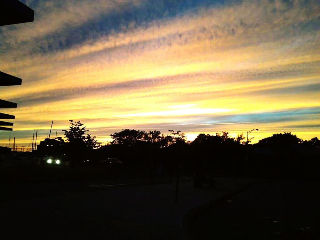 SILHOUETTE OF TREES AT SUNSET