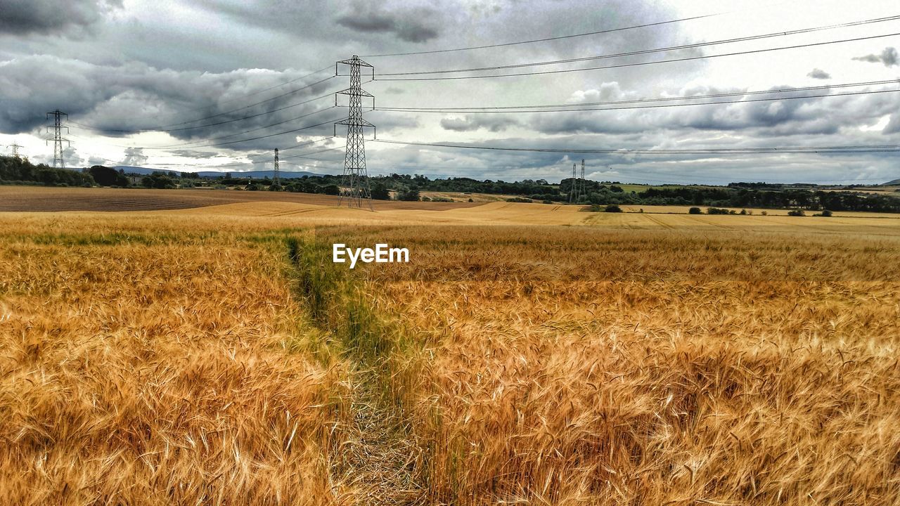 Electricity pylon on agricultural landscape against sky