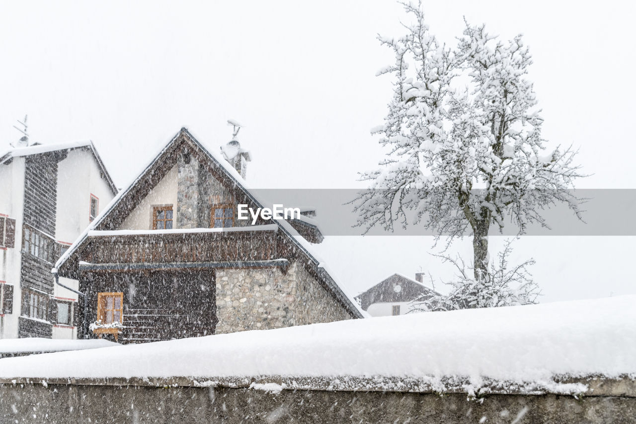 SNOW COVERED TREE AND BUILDINGS AGAINST SKY