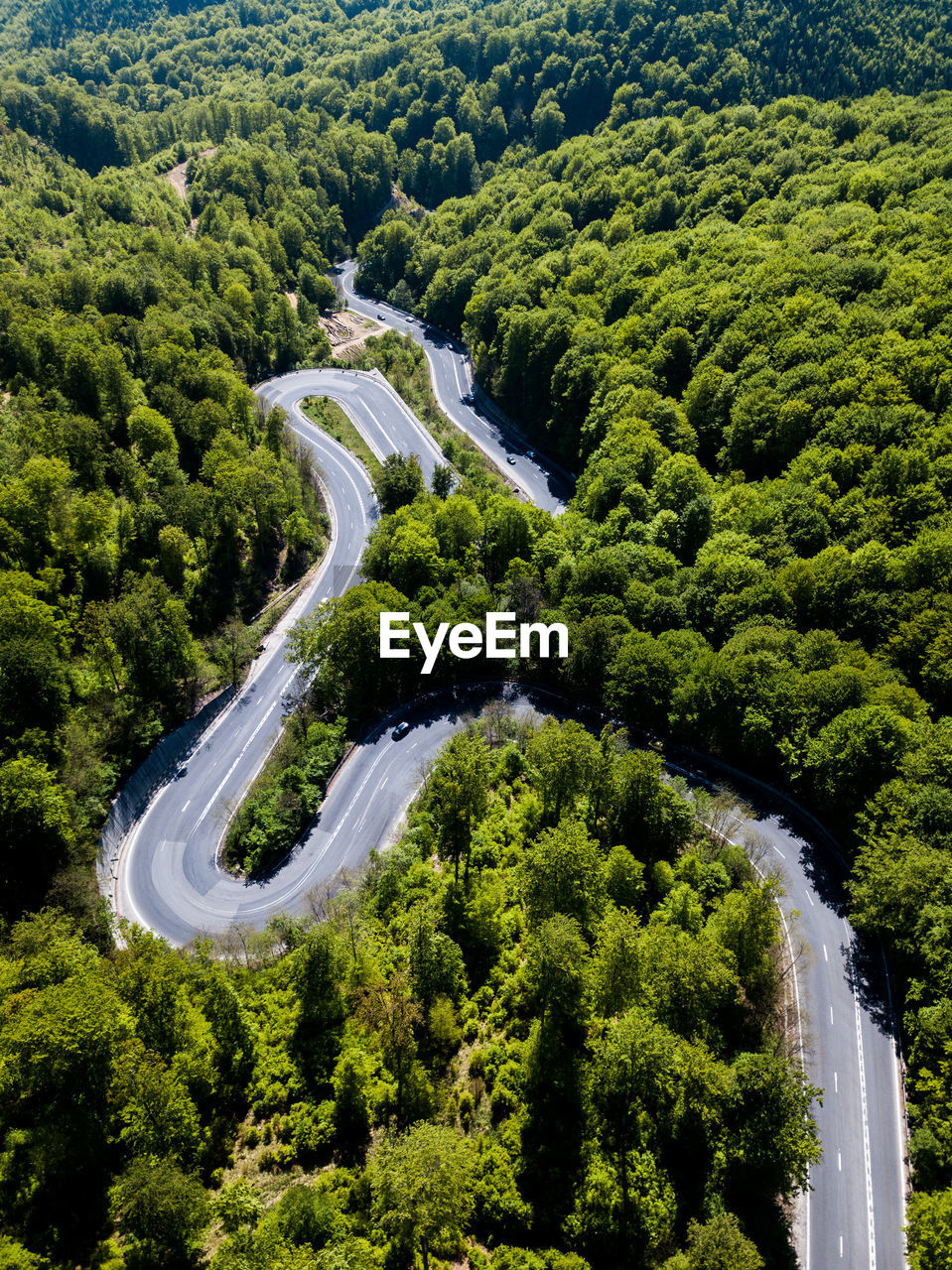 HIGH ANGLE VIEW OF ROAD AMIDST TREES