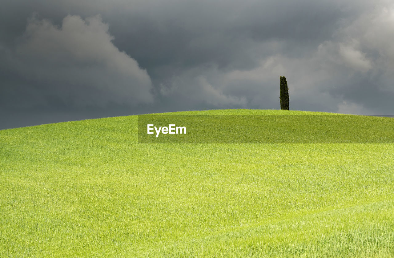 SCENIC VIEW OF FIELD AGAINST SKY DURING SUNRISE