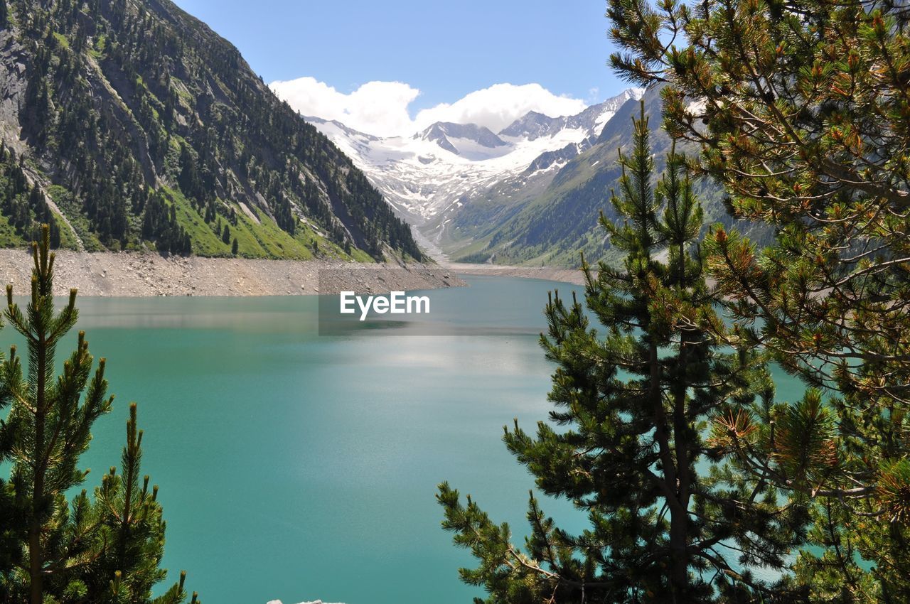 SCENIC VIEW OF LAKE BY TREES AGAINST SKY