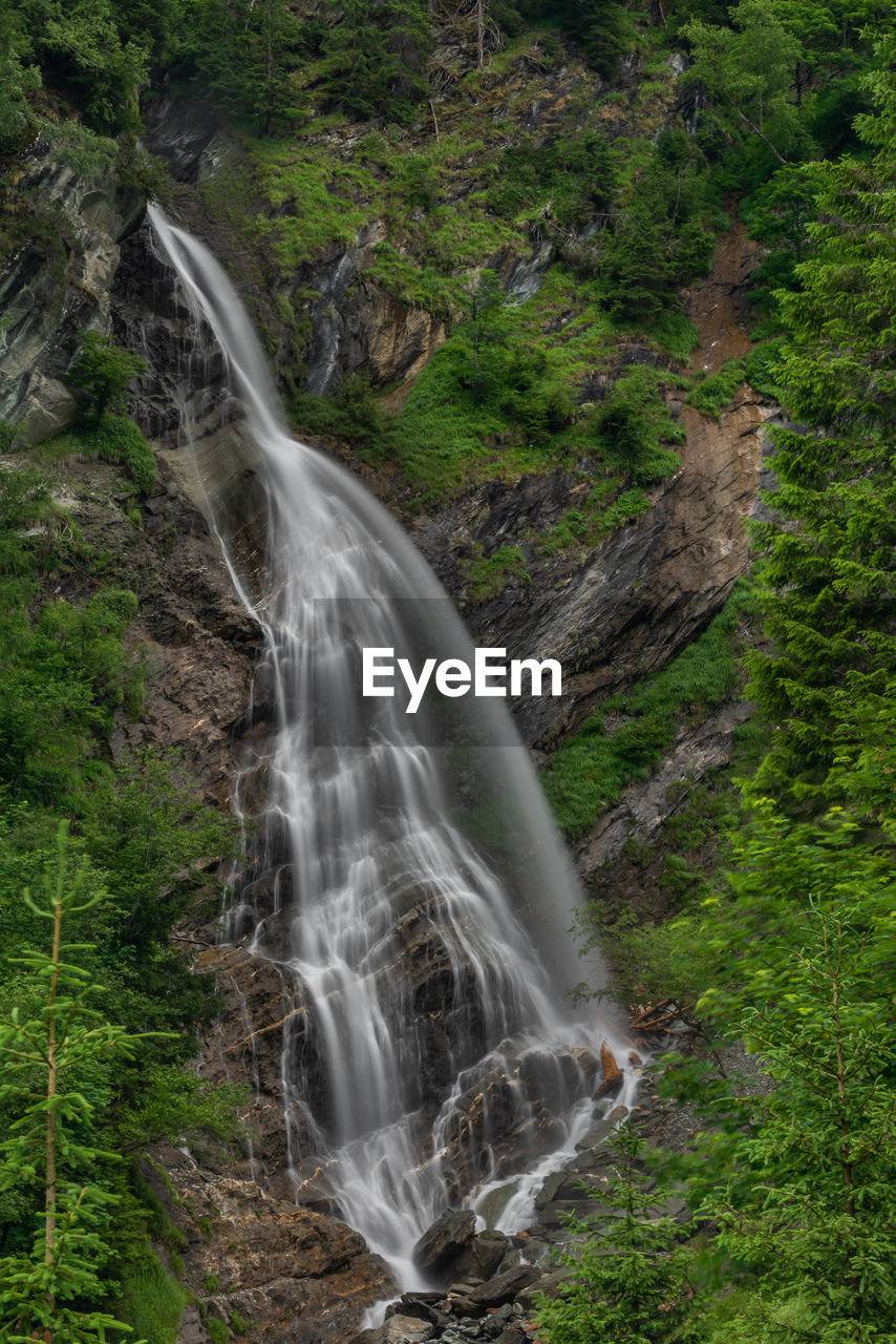 WATERFALL IN FOREST