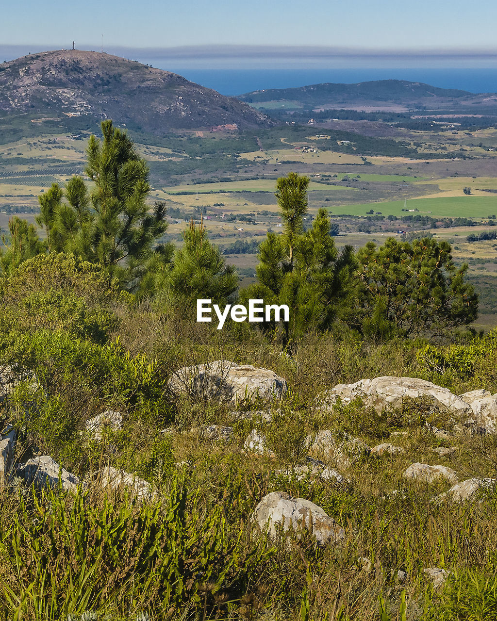 wilderness, plant, natural environment, landscape, scenics - nature, hill, environment, beauty in nature, nature, tranquility, sky, land, no people, tranquil scene, tree, grass, vegetation, non-urban scene, plateau, green, ridge, rock, meadow, growth, day, rural area, flower, water, outdoors, grassland, travel destinations, sea, travel, idyllic, remote, mountain range, valley, shrubland, walking