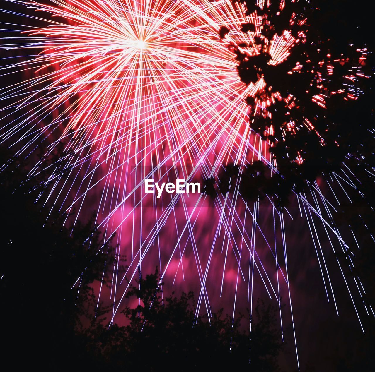 LOW ANGLE VIEW OF FIREWORKS EXPLODING