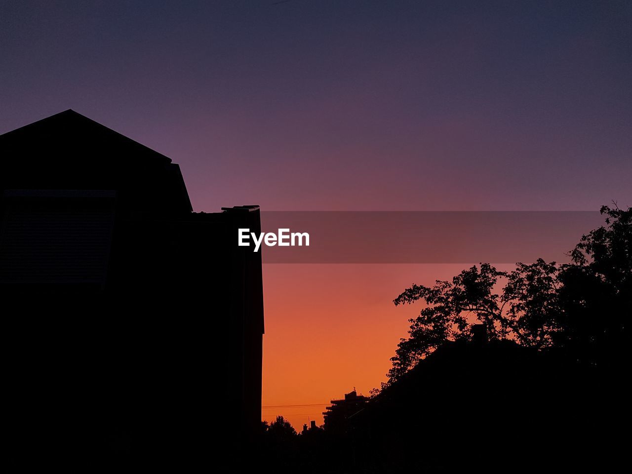 Low angle view of silhouette trees against clear sky