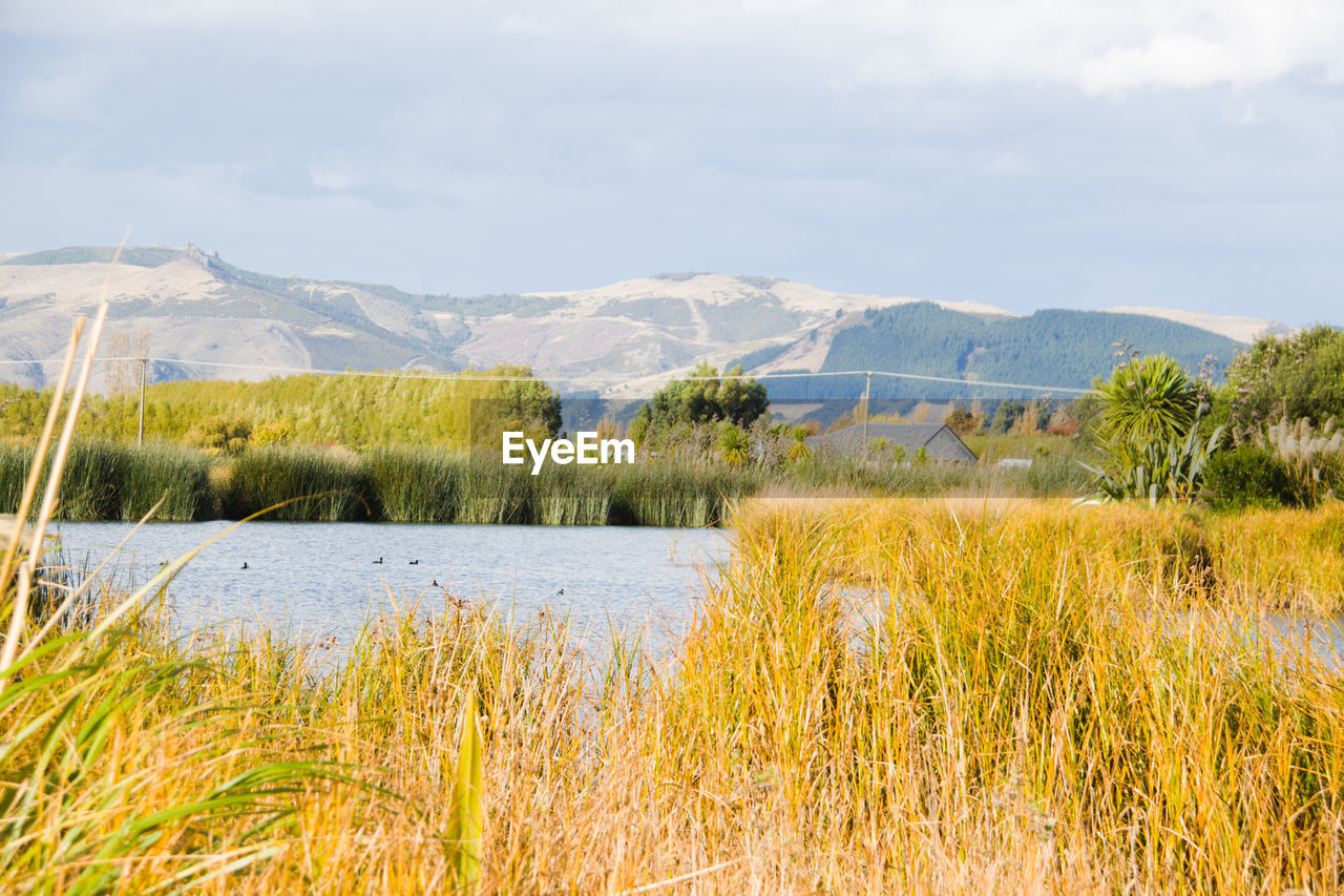 Scenic view of lake against sky