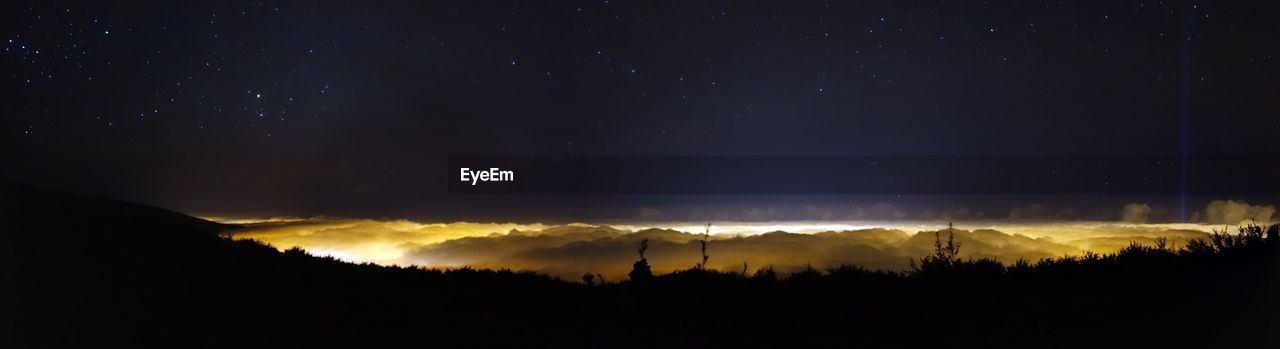Low angle view of silhouette trees against sky at night