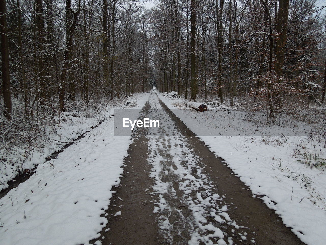 Dirt road passing through snow covered forest