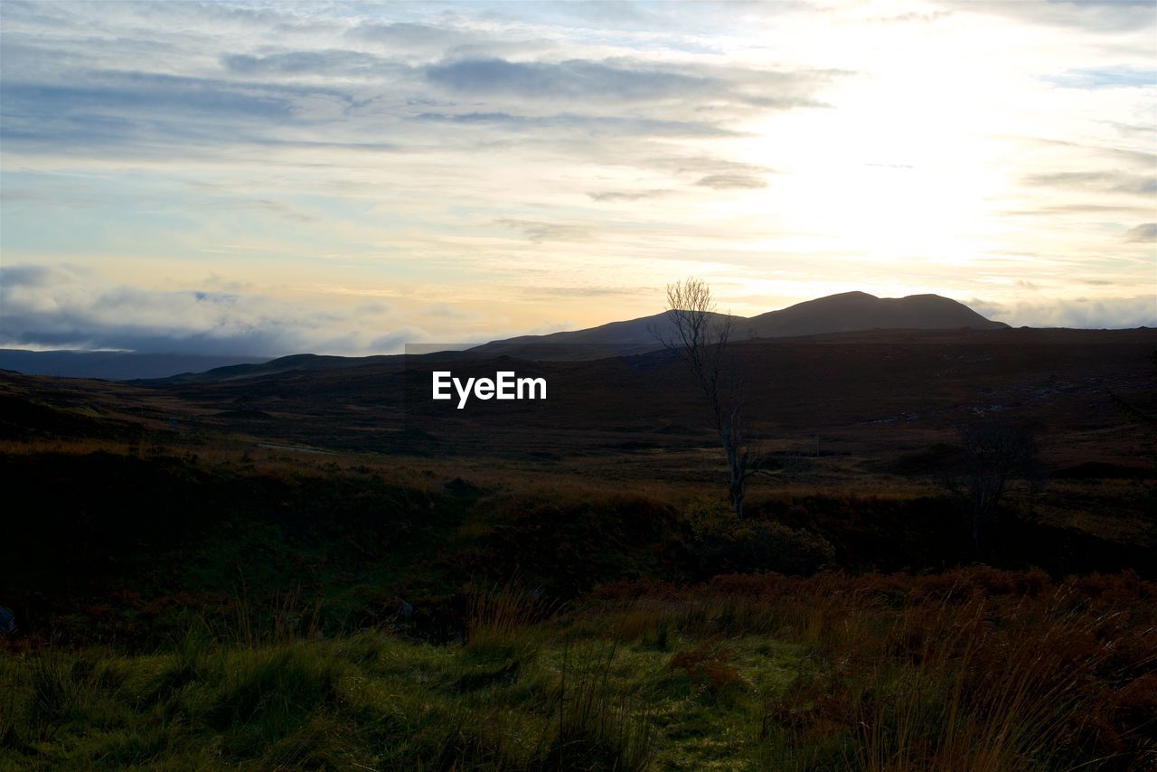 Scenic view of field against sky during sunset