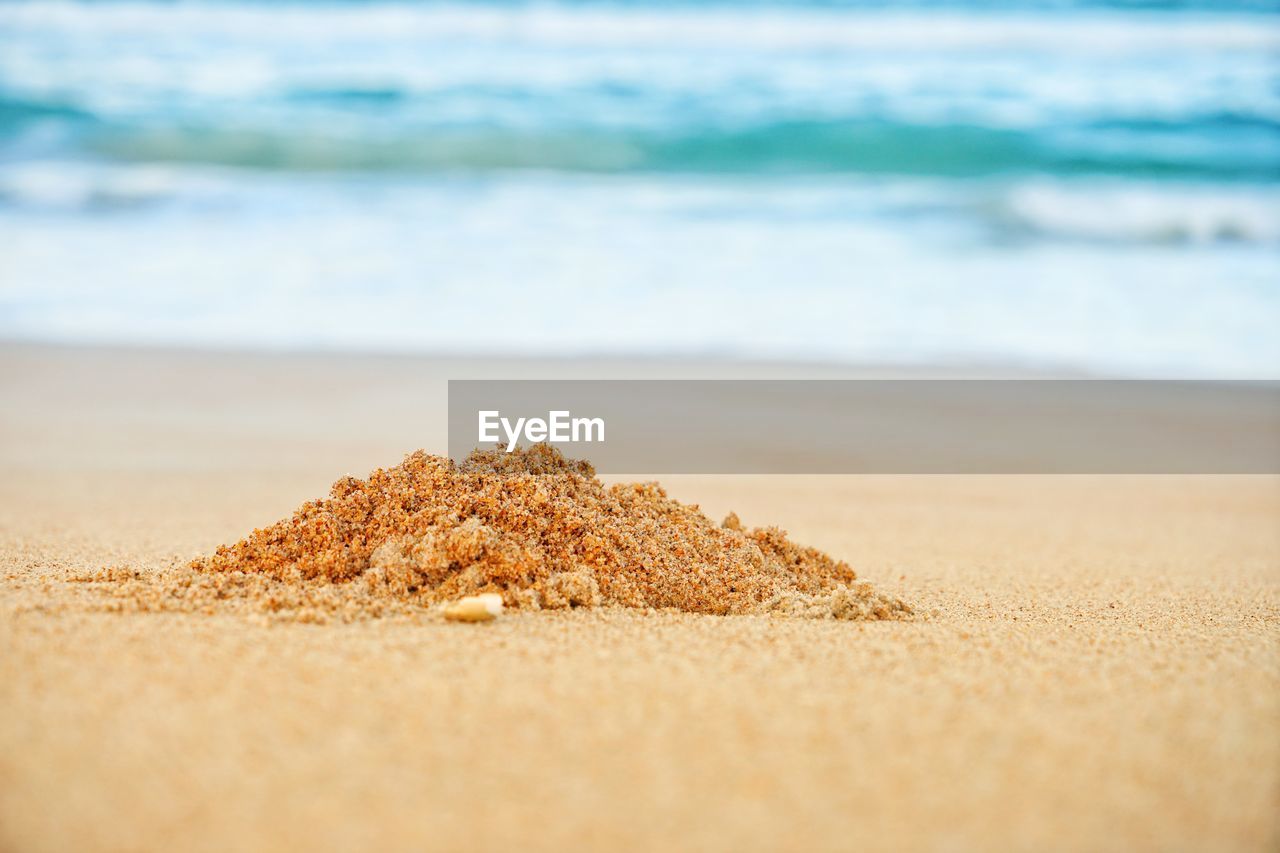 SURFACE LEVEL OF SAND ON SHORE