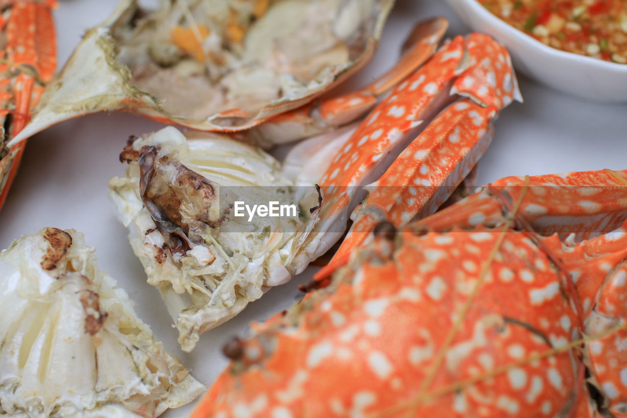 food, food and drink, seafood, freshness, dungeness crab, healthy eating, animal, wellbeing, crustacean, no people, close-up, raw food, shellfish, fish, dish, meal, crab, gourmet, selective focus