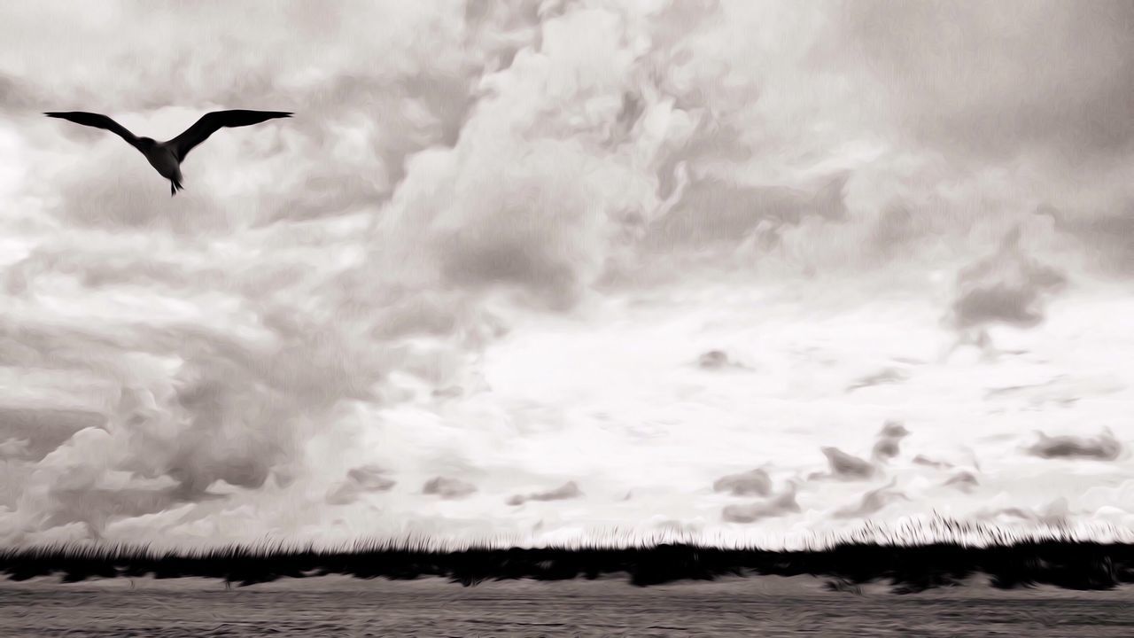 Low angle view of bird flying against cloudy sky