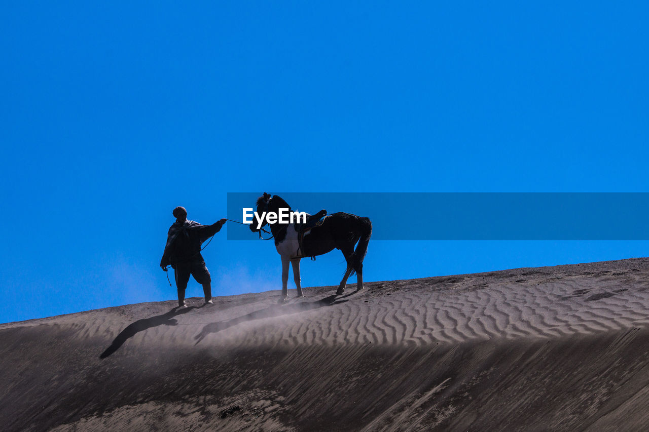 Man with horse on sand dune against clear blue sky