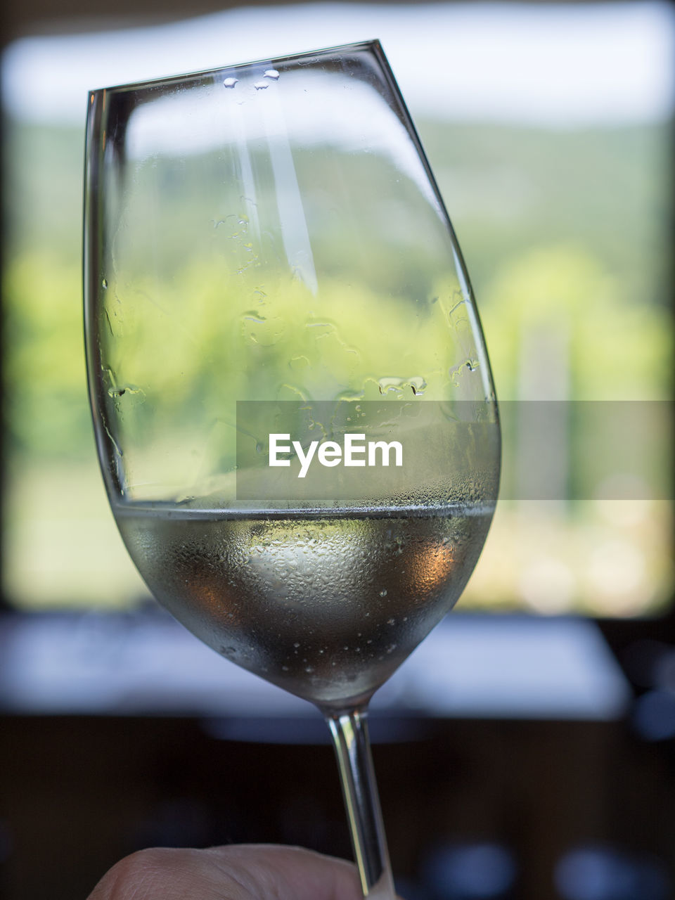 CLOSE-UP OF GLASS OF WINE