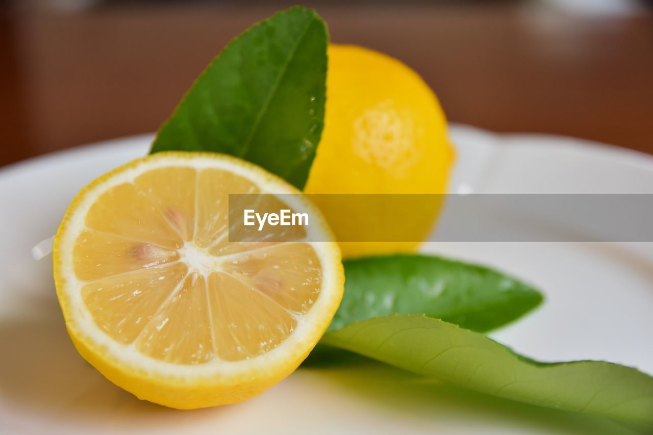 CLOSE-UP OF LEMON SLICE