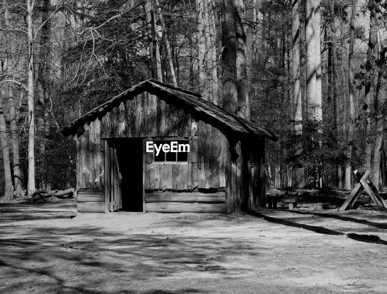 View of abandoned house in forest