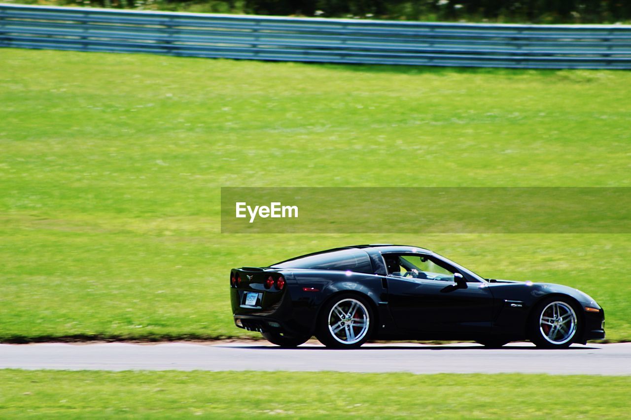 VINTAGE CAR ON GRASS