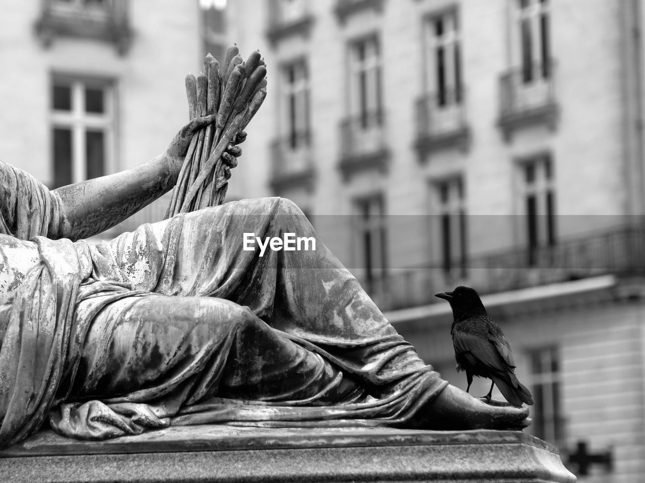 architecture, statue, built structure, building exterior, black and white, city, monochrome, monument, monochrome photography, sculpture, representation, street, animal, day, person, bird, art, human representation, black, sitting, outdoors, travel destinations, city life, one person, focus on foreground, building, animal themes, animal wildlife