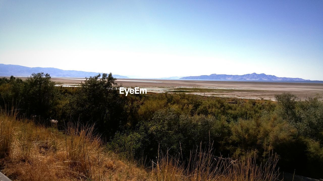 Scenic view of landscape against clear sky