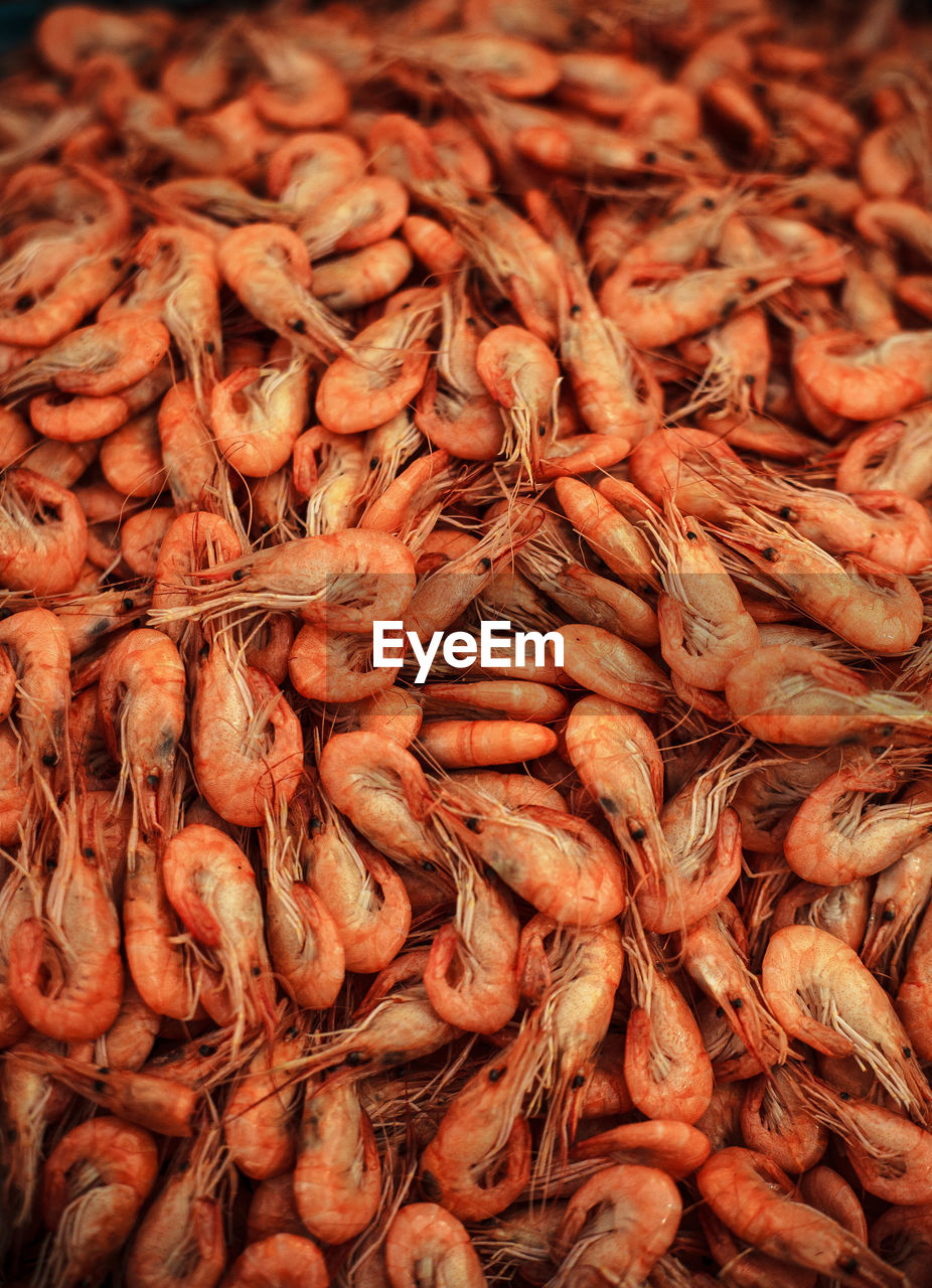 Full frame shot of shrimps for sale at market