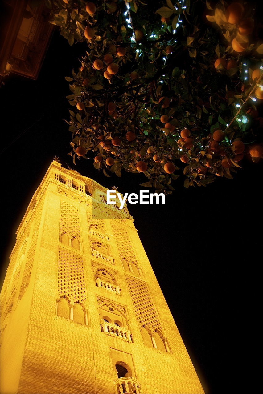 Low angle view of illuminated building by tree at night