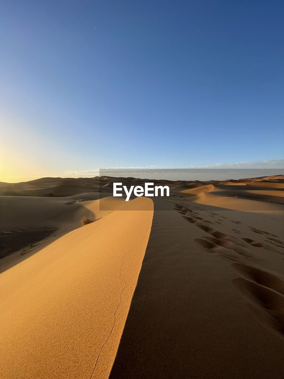 Scenic view of sand dunes sahara desert