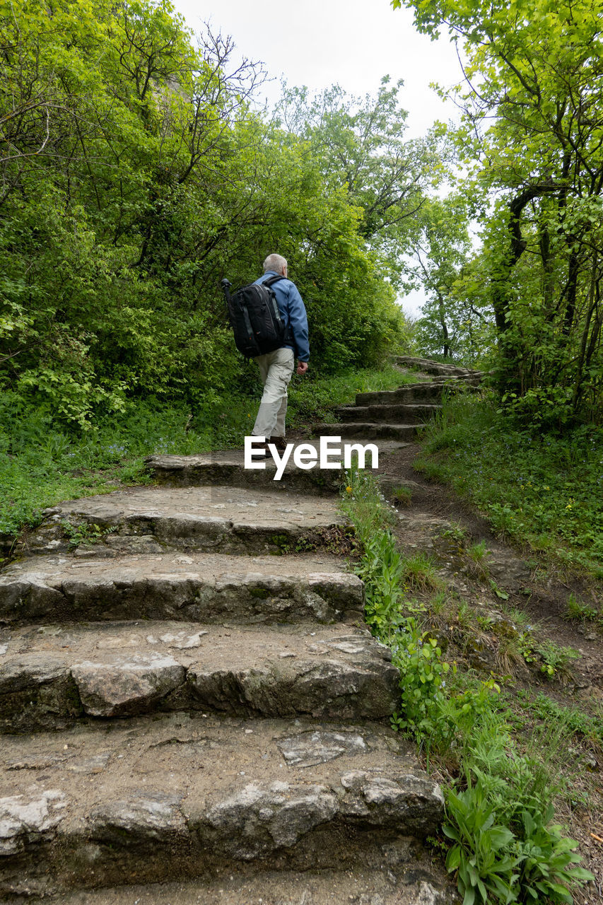 The varied route over the vogelbergsteig to the historic dürnstein castle ruins.