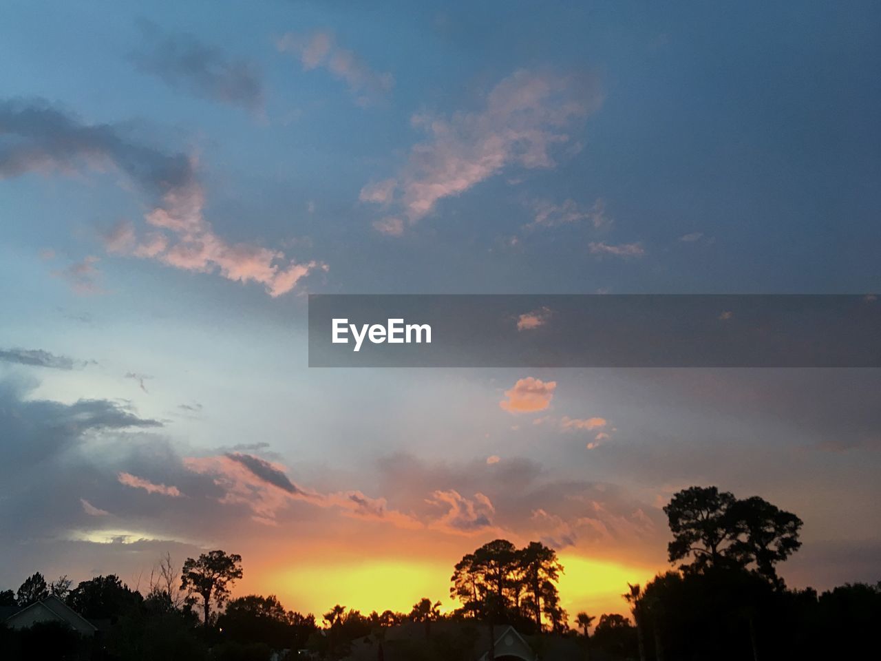 LOW ANGLE VIEW OF SILHOUETTE TREES AGAINST SKY AT SUNSET