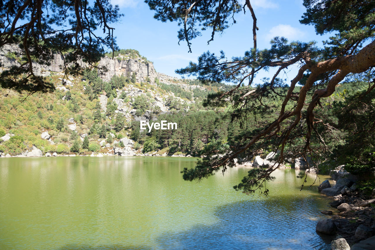 tree, water, plant, beauty in nature, nature, scenics - nature, tranquility, lake, tranquil scene, environment, landscape, sky, reflection, flower, body of water, forest, land, pinaceae, non-urban scene, no people, wilderness, travel destinations, coniferous tree, day, mountain, pine tree, idyllic, outdoors, travel, sunlight, growth, pine woodland, tourism, green, autumn, rock, blue