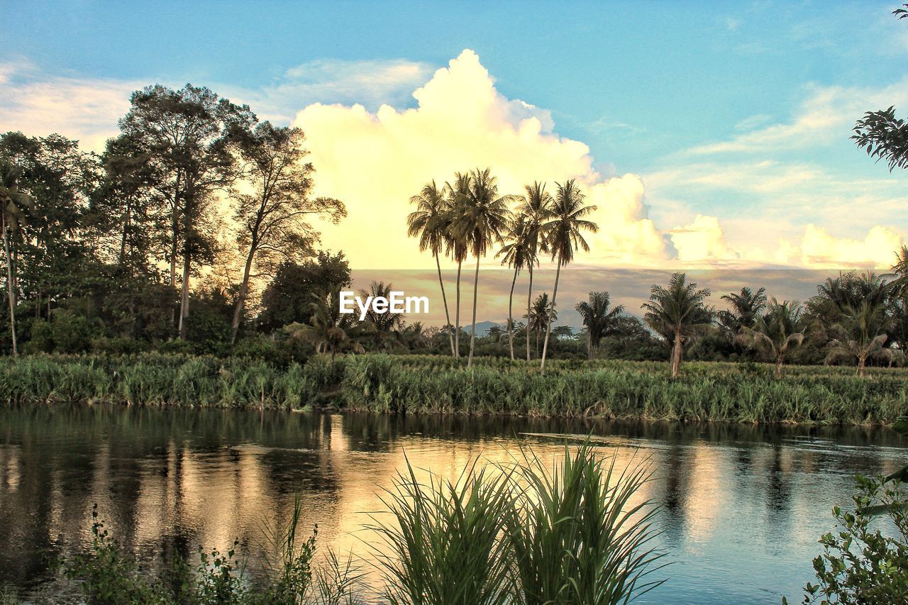 SCENIC VIEW OF LAKE AGAINST SKY