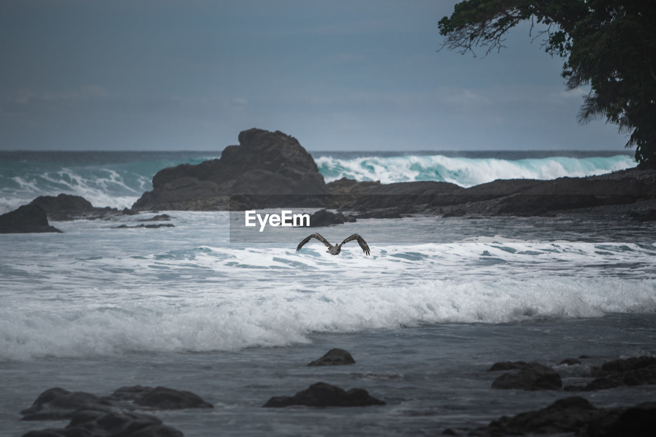 MAN IN SEA AGAINST SKY