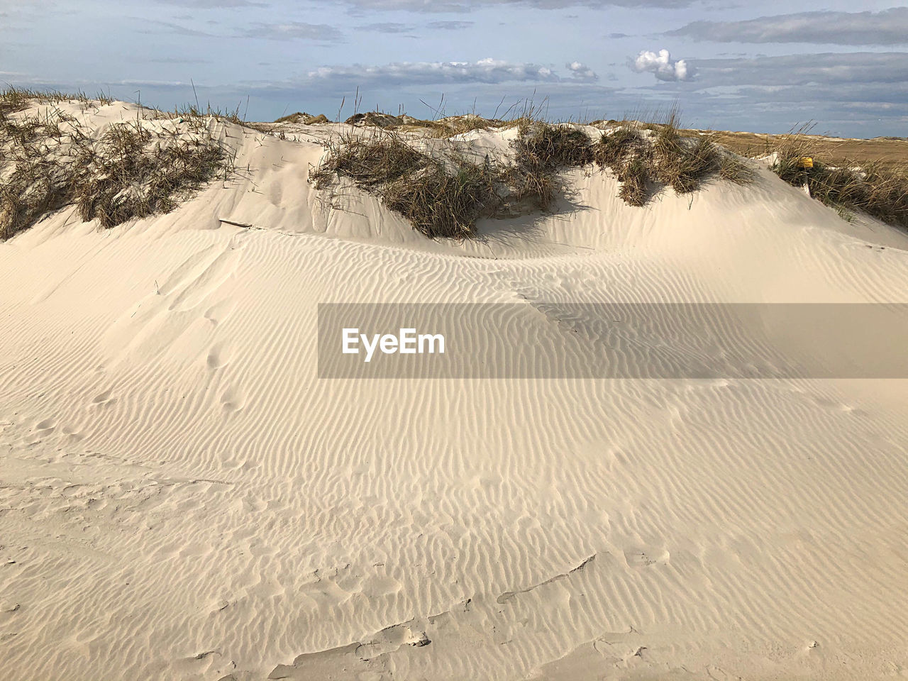 SCENIC VIEW OF SAND DUNES AT BEACH