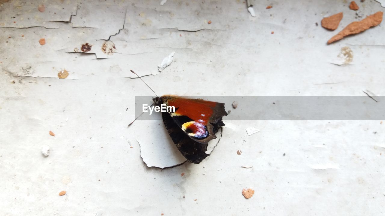 CLOSE-UP HIGH ANGLE VIEW OF CIGARETTE ON FLOOR